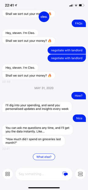 Cleo chat interface