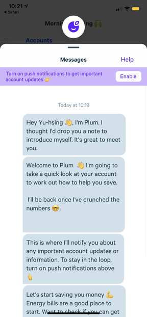 Plum chat interface