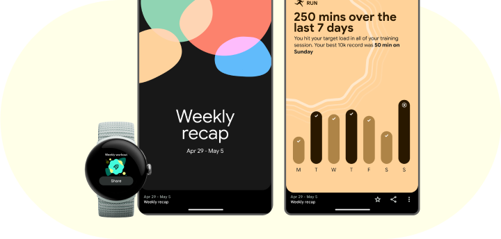 Theme 4 — Weekly recap and celebrations
