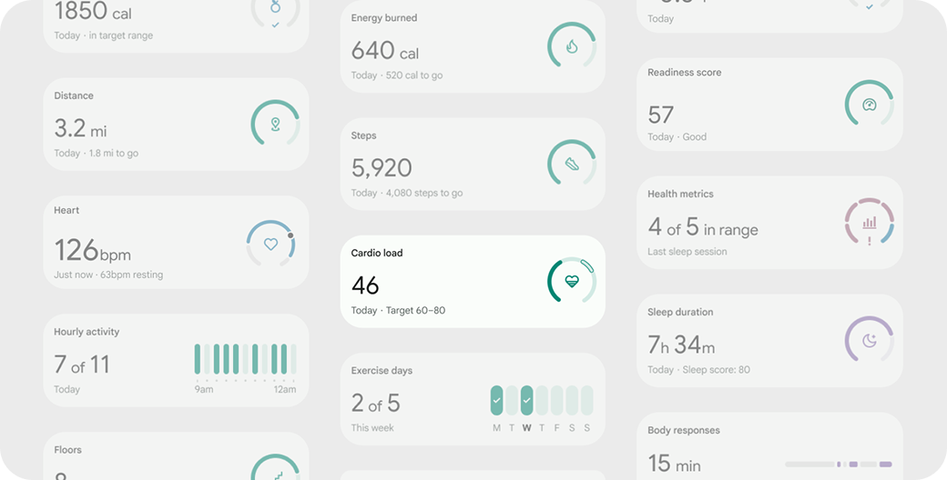 Map of 30+ Fitbit metrics with no clear hierarchy